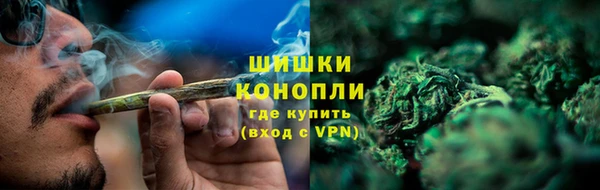 ГАЛЛЮЦИНОГЕННЫЕ ГРИБЫ Балабаново