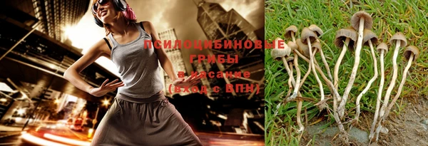 ГАЛЛЮЦИНОГЕННЫЕ ГРИБЫ Балабаново
