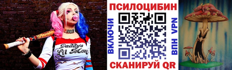 Псилоцибиновые грибы MAGIC MUSHROOMS  сколько стоит  Котельниково 